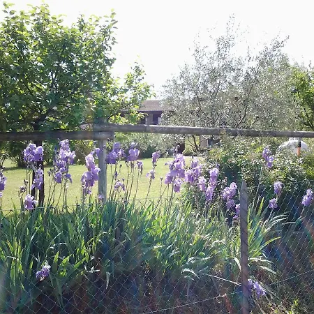Agriturismo Cascina Reciago Farm stay